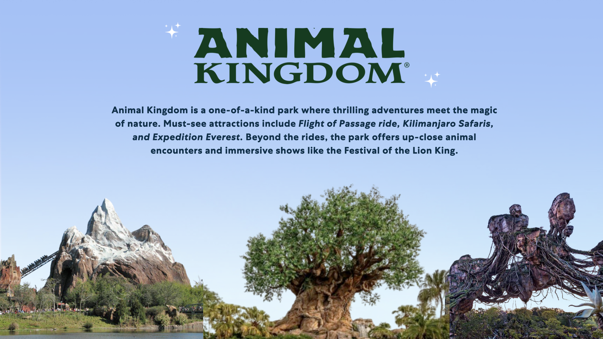Animal Kingdom Guide